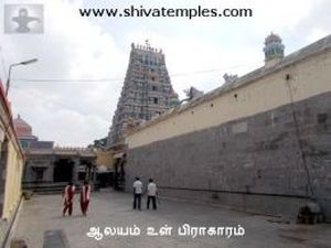 Another view