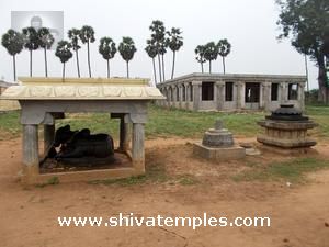 Nandi and balipeetam
