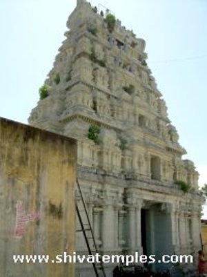5 Tier Gopuram