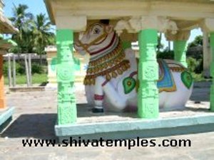 Nandi