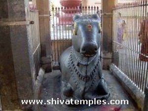 Nandi in Veerateswara temple