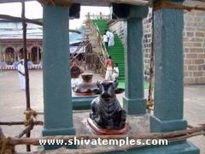 Nandi in front of Goddess Temple