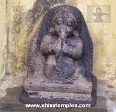 Maa-kaalar