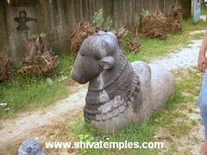Nandi