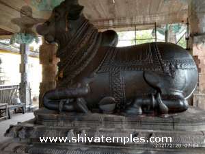 Nandi