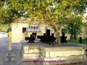 Sthala Vruksham