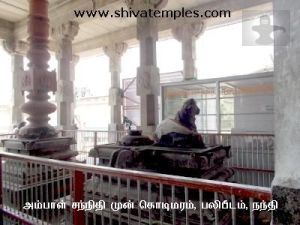 Nandi, Kodimaram, Balipeetam in front of Ambal Sannidhi