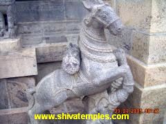 Horse Pulling the Chariot