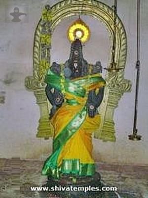 Veyuru Tholi Ammai