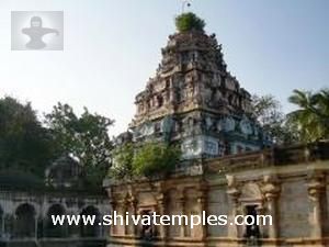 Vimanam