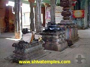 Balipeetam, Nandi, Kodimaram