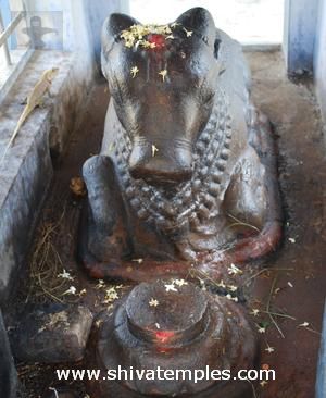 Nandi
