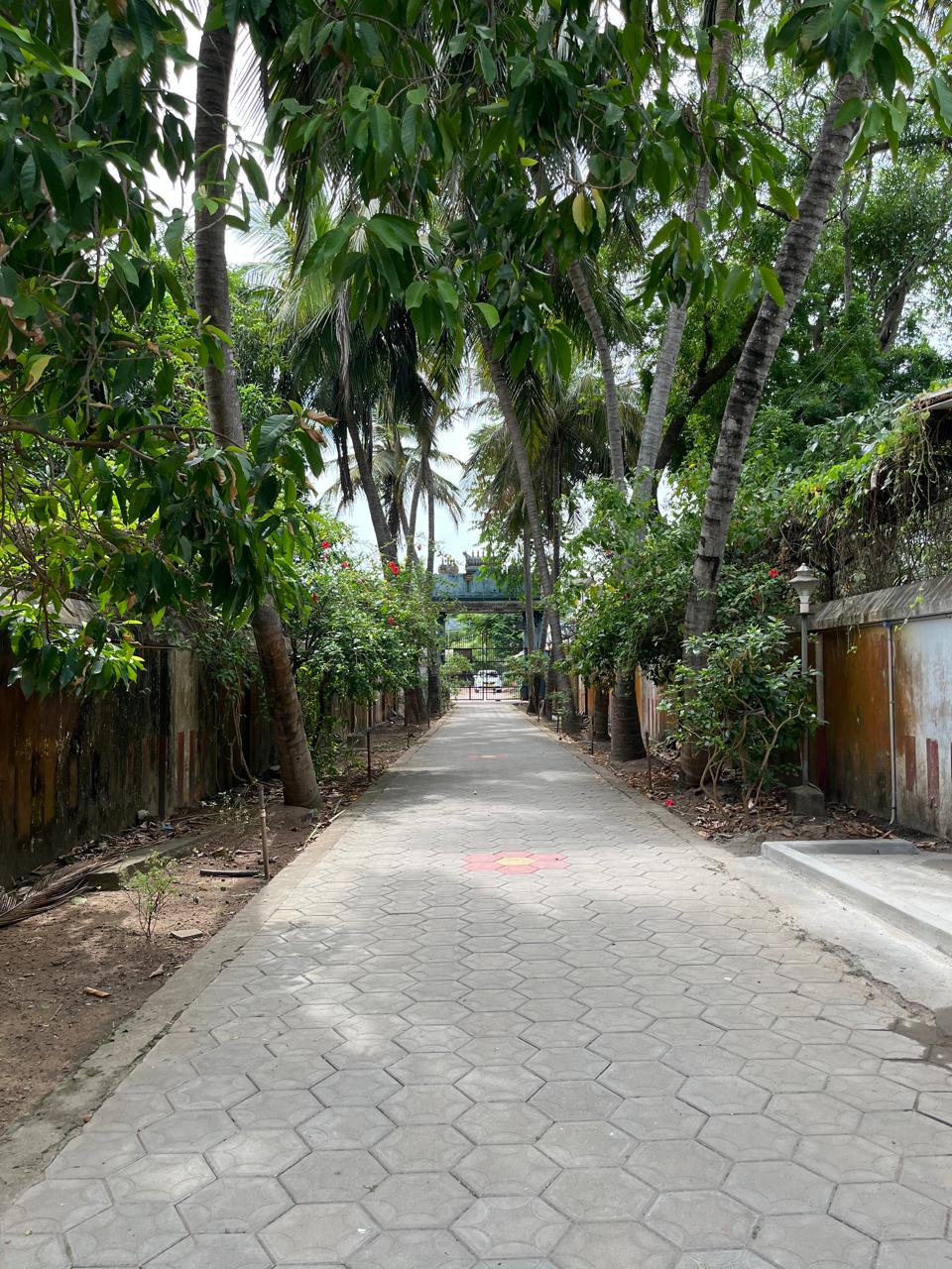 Way from the Entrance