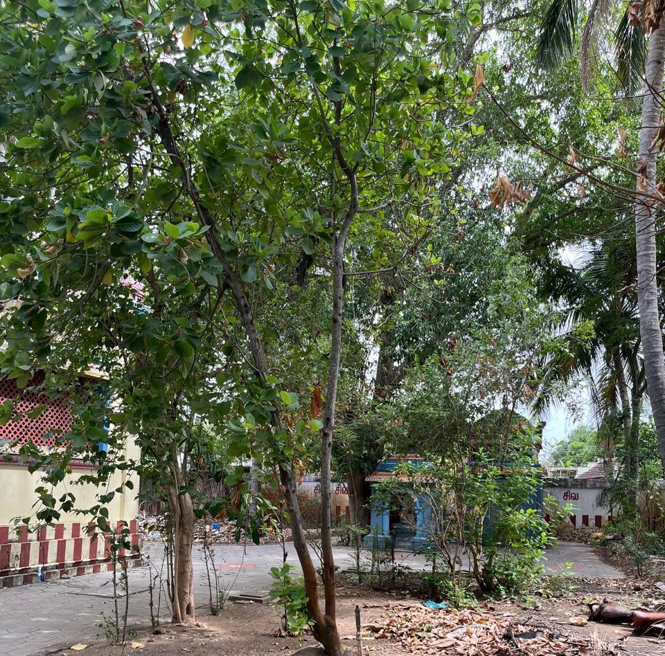 Premises