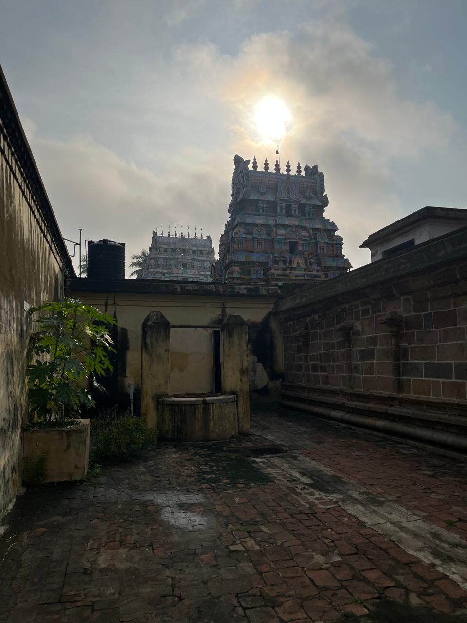 View from North-West Corner