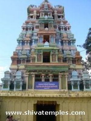 5 Tiered Tower