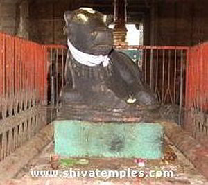 A leaning Nandi