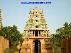 View of the Temple