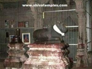 Nandi