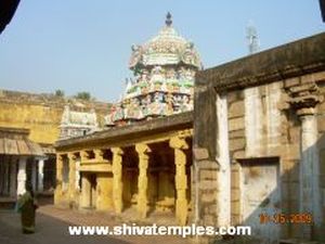 Temple View 4