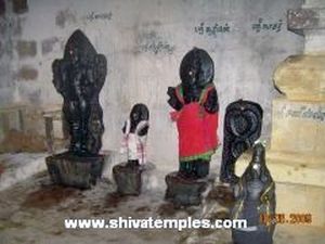 Temple View 7