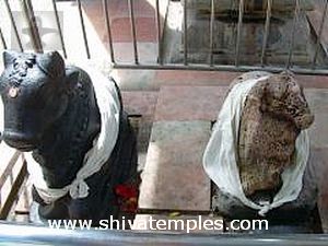 இரட்டை நந்தி - வலதுபுறம் இருப்பது சுயம்பு