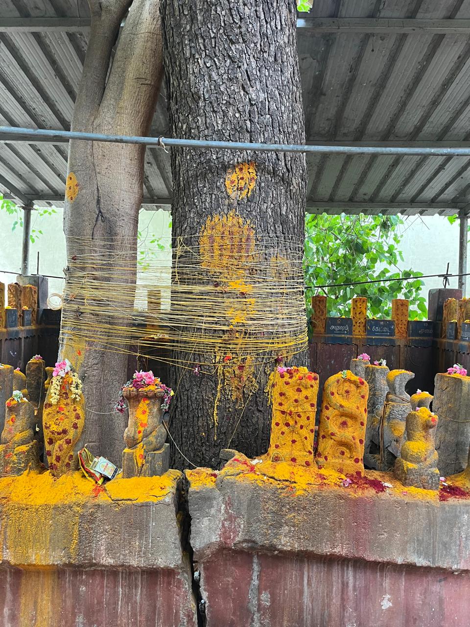 Naagar Sannidhi