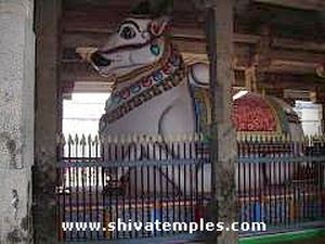 Nandi