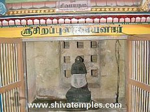 சிறப்புலி நாயனார் சந்நிதி