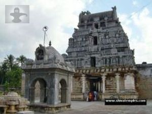 Goddess Sannidhi