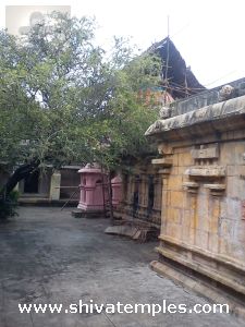 Temple View 6