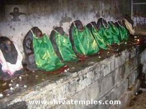 Saptha Matha