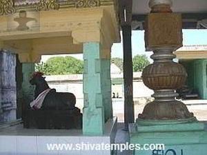 Kodi Maram, Nandi