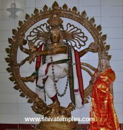 Sarvanga Sundari Sannidhi