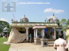 Goddess Sannidhi