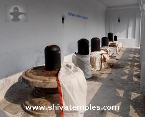 Sapta Lingams Worshipped by the Saptarishis