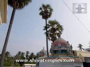 Sthala Vriksham &ndash; The Sacred Palmyra Tree