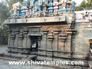 Goshta Images
