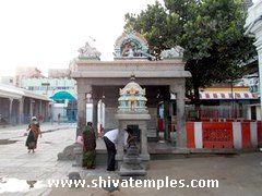 Punnaivananathar
