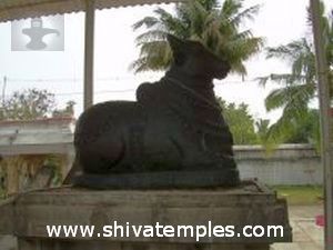 Nandhi in outer prakaram