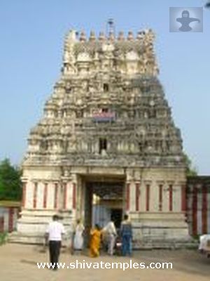 View of the Tower