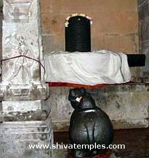 சகஸ்ர லிங்கம் மற்றும் நந்தி